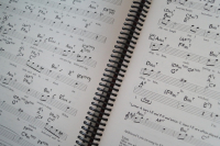 The Standards Real Book Songbook Notenbuch für Eb-Instrumente