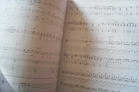 Breaking Benjamin - Phobia Songbook Notenbuch Vocal Guitar