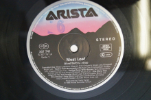 Meat Loaf  Blind before I stop (Vinyl LP ohne Cover)