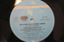 A Flock of Seagulls  The Story of a young Heart (Vinyl LP ohne Cover)