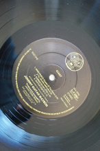 Johnny Guitar Watson  Giant (Vinyl LP)