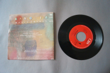 Bangles  Manic Monday (Vinyl Single 7inch)