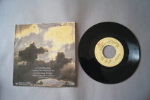 Kate Bush  Cloudbusting (Vinyl Single 7inch)