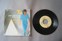 Peter Kent  Take a Ride on the Peace Train (Vinyl Single 7inch)