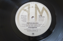 Peter Frampton  Frampton Comes Alive (Vinyl 2LP)