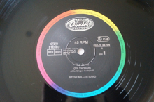Steve Miller Band  The Joker (Vinyl Maxi Single)