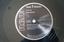 Rick Astley  Never gonna give You up (Vinyl Maxi Single)