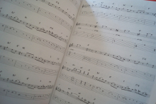 Pat Metheny - Rejoicing Songbook Notenbuch Guitar