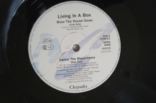 Living in a Box  Blow the House down (Vinyl Maxi Single)