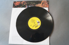 Turtles  Turtle Wax (Best of Vol. 2) (Vinyl LP)