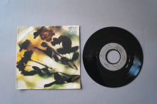 Danny Wilson  The second Summer of Love (Vinyl Single 7inch)