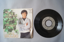 Rex Gildo  Wenn ich je deine Liebe verlier (Vinyl Single 7inch)