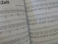Tiemo Hauer - Losgelassen  Songbook Notenbuch Piano Vocal