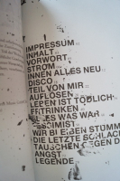 Toten Hosen, Die - In aller Stille  Songbook Notenbuch Vocal Guitar