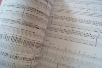 Toten Hosen, Die - In aller Stille  Songbook Notenbuch Vocal Guitar
